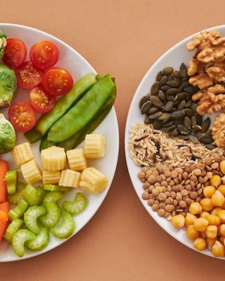 alimentação nutritiva