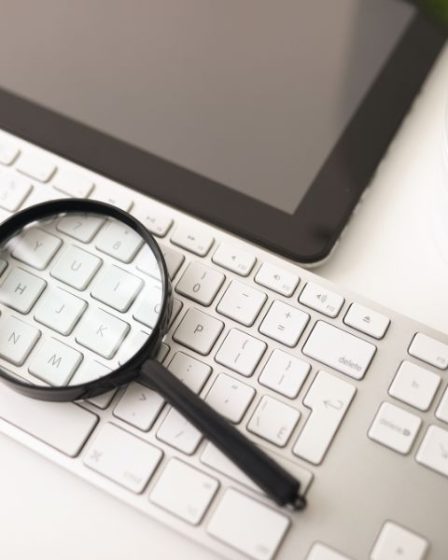 software de pesquisa eleitoral